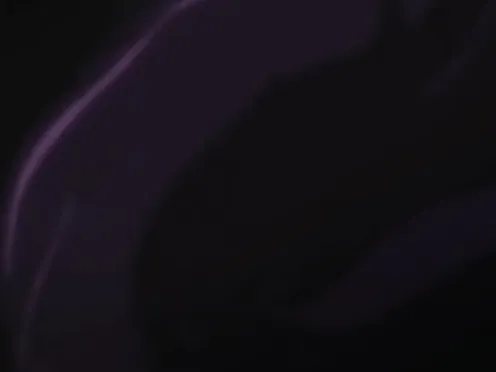 Princess Knight Catue Bonus