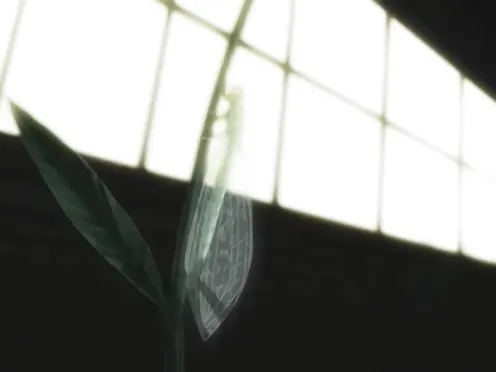 Anata Dake Konbanwa Episode 2